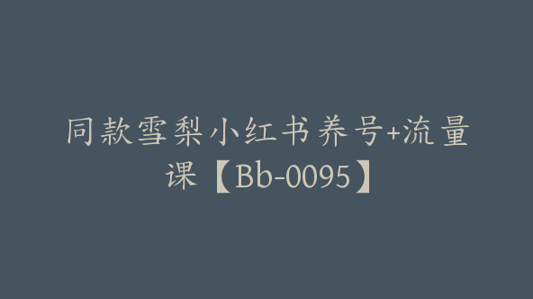 同款雪梨小红书养号+流量课【Bb-0095】