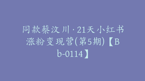 同款蔡汶川·21天小红书涨粉变现营(第5期)【Bb-0114】