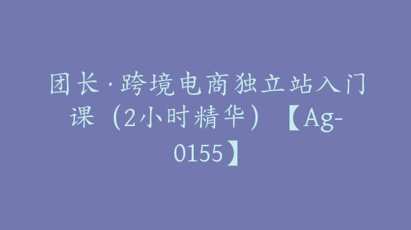 团长·跨境电商独立站入门课（2小时精华）【Ag-0155】