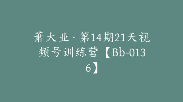 萧大业·第14期21天视频号训练营【Bb-0136】