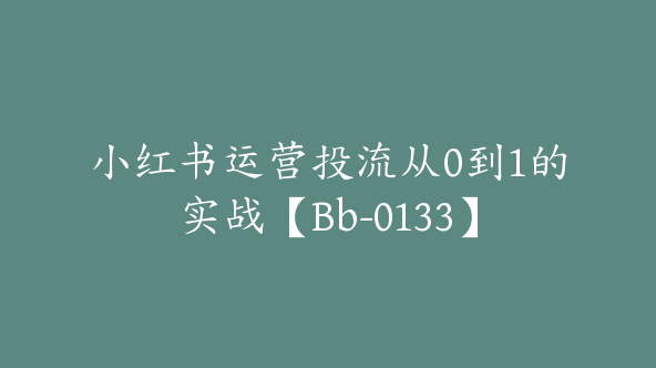 小红书运营投流从0到1的实战【Bb-0133】