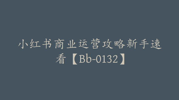 小红书商业运营攻略新手速看【Bb-0132】